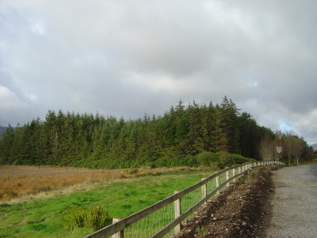 DSC05496