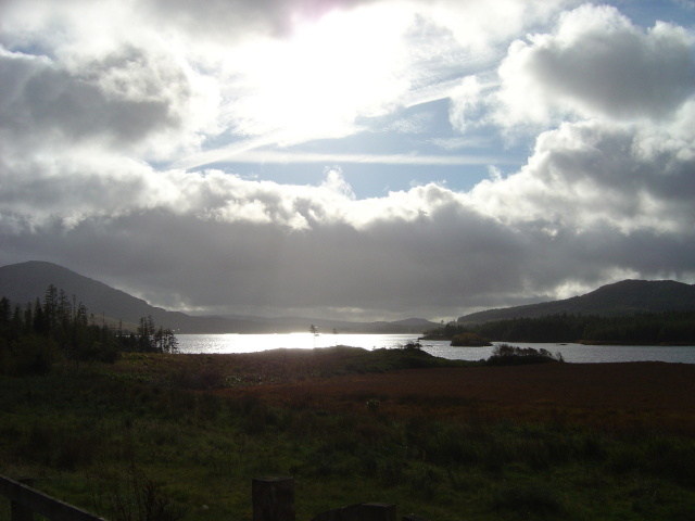 DSC05502