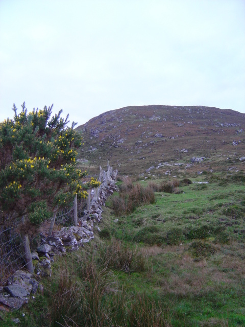 DSC05512
