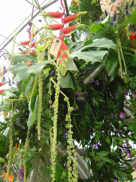 dsc05720